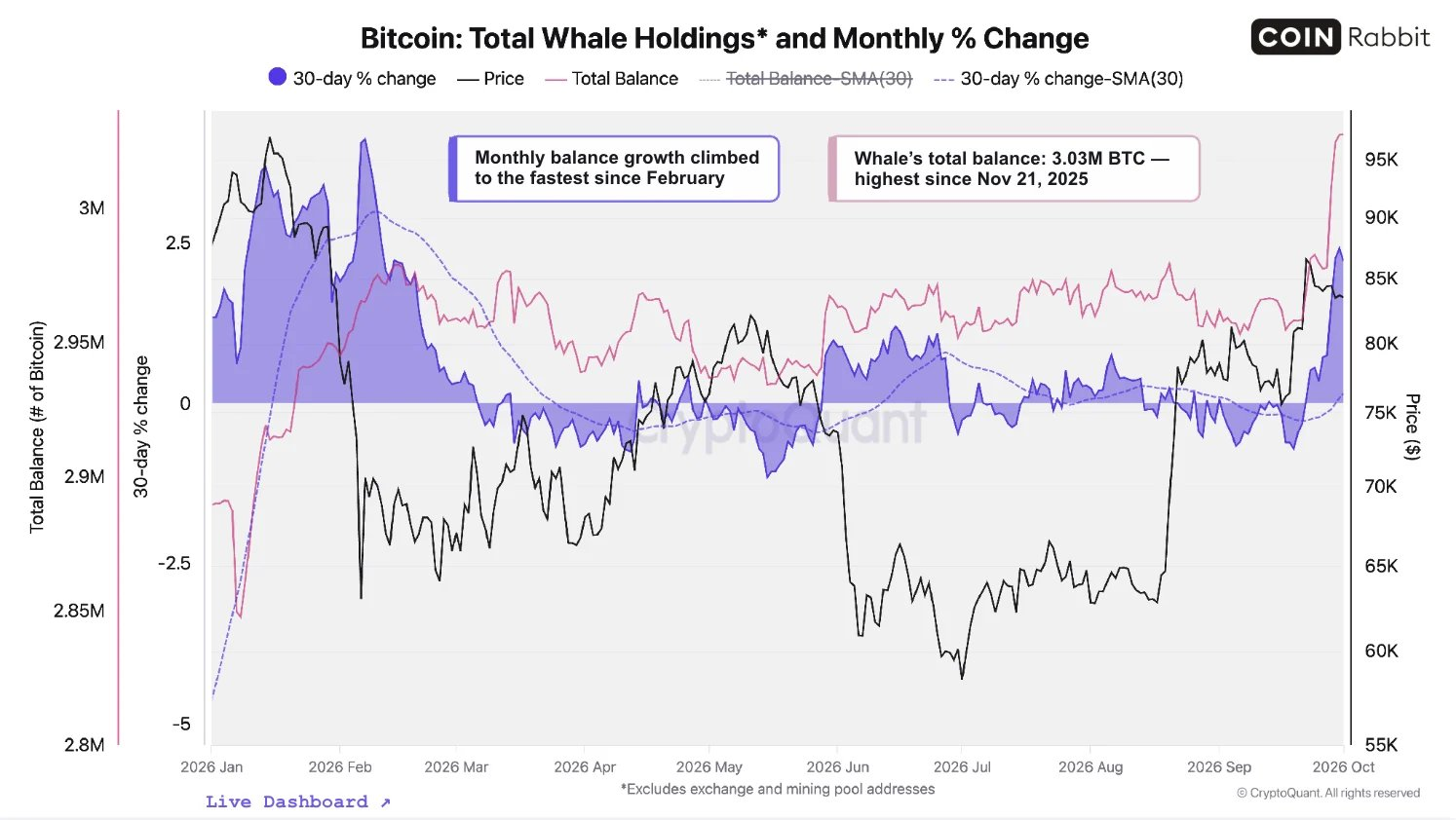 谁在承接带血筹码？链上数据揭示 BTC 跌破 $81,000 后的巨鲸囤积潮