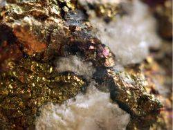 纽曼矿业(NEM.US)Q1业绩靠高金价“遮羞”，产量成本“双杀”警报已拉响