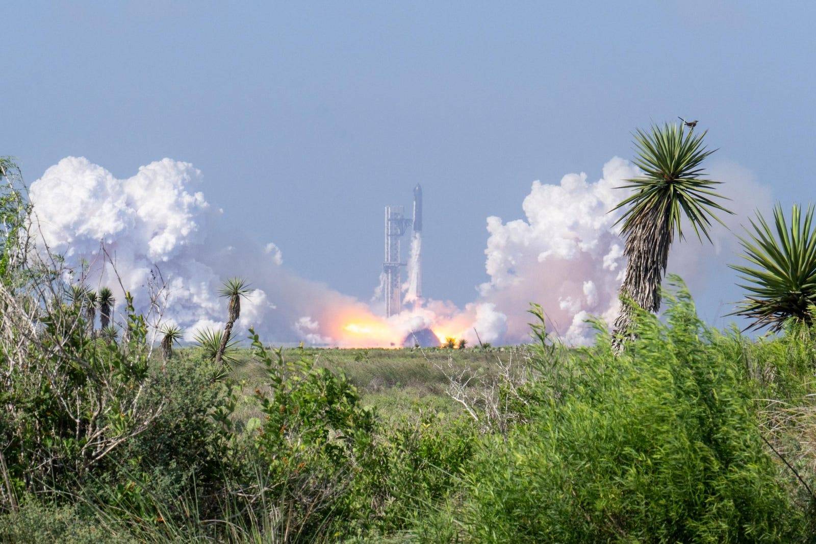 华尔街围绕 SpaceX 吵翻了：看空派算出每股只值 62 美元，看多派喊到 800 美元