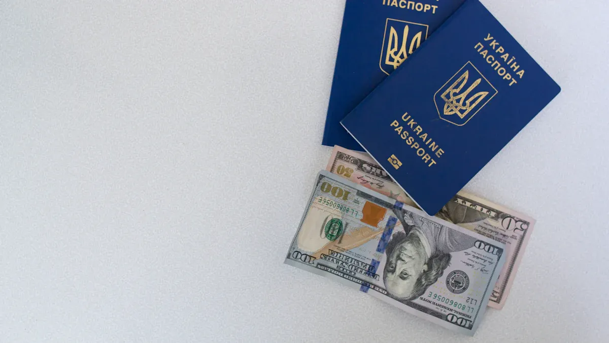 Differences Between Germany Study Remittances and Regular Remittances