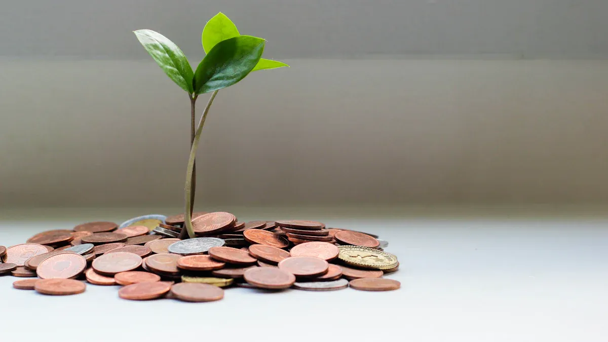 Practical Tips for Choosing High-Interest Deposits