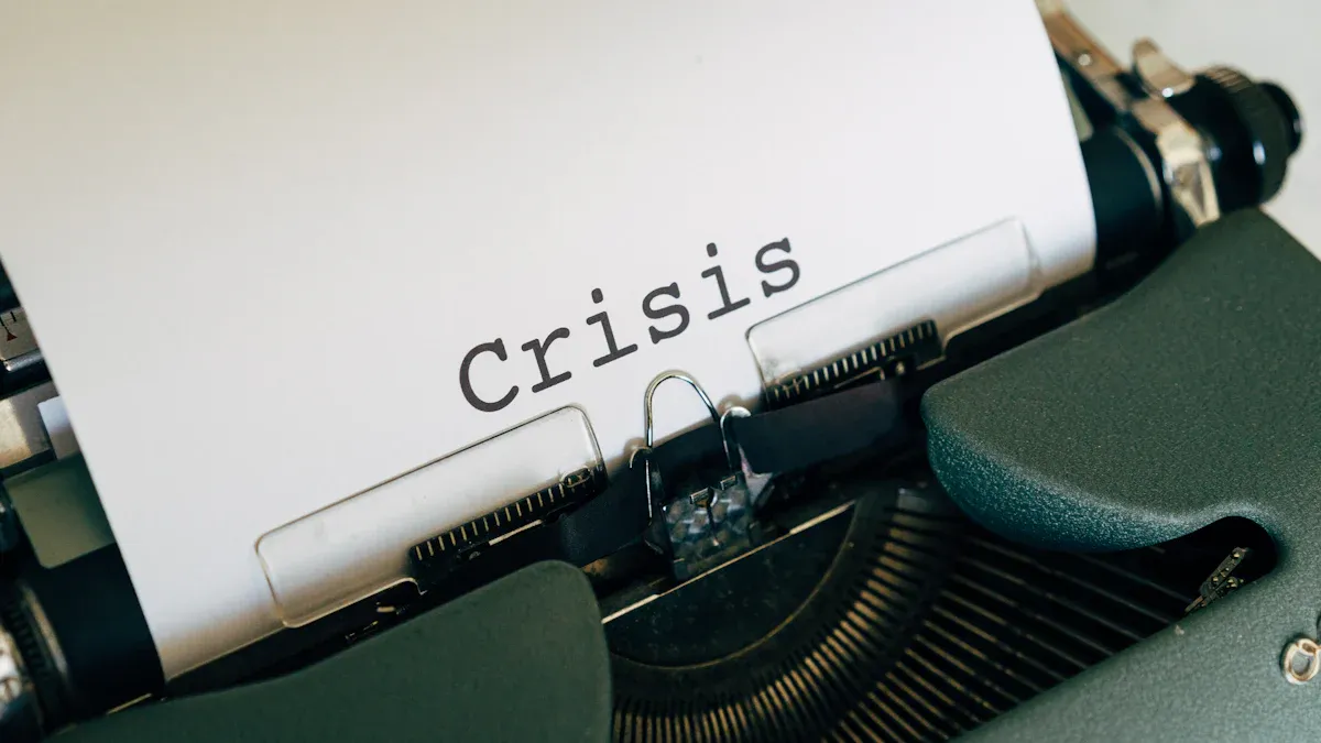 Crisis Impact and Subsequent Developments