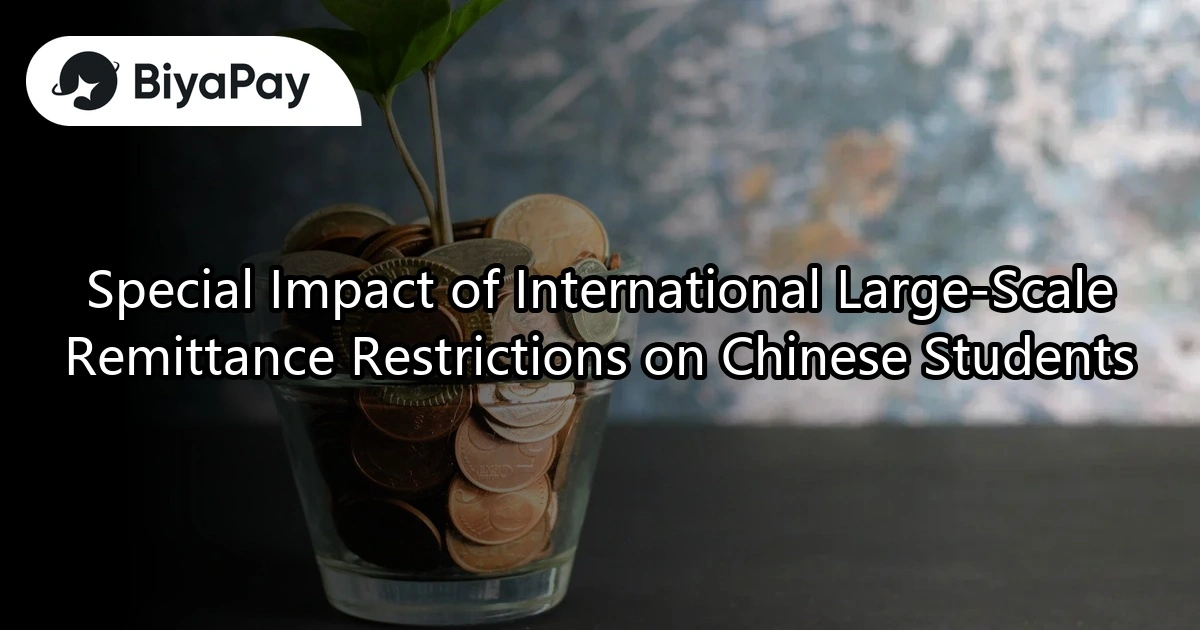 Restrictions on Large - amount Remittances for International Students