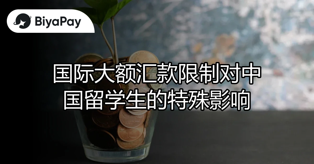 大额汇款限制留学生