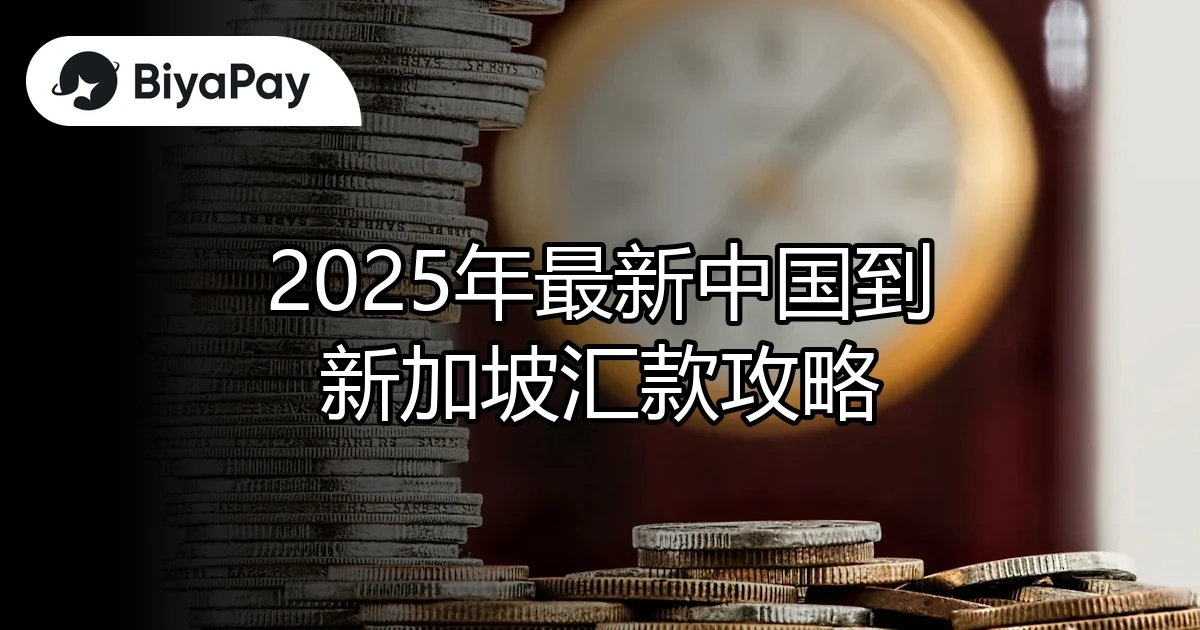 中国汇款到新加坡