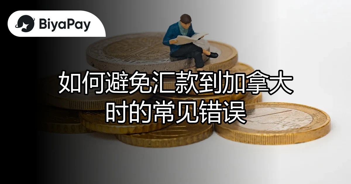汇款到加拿大的错误