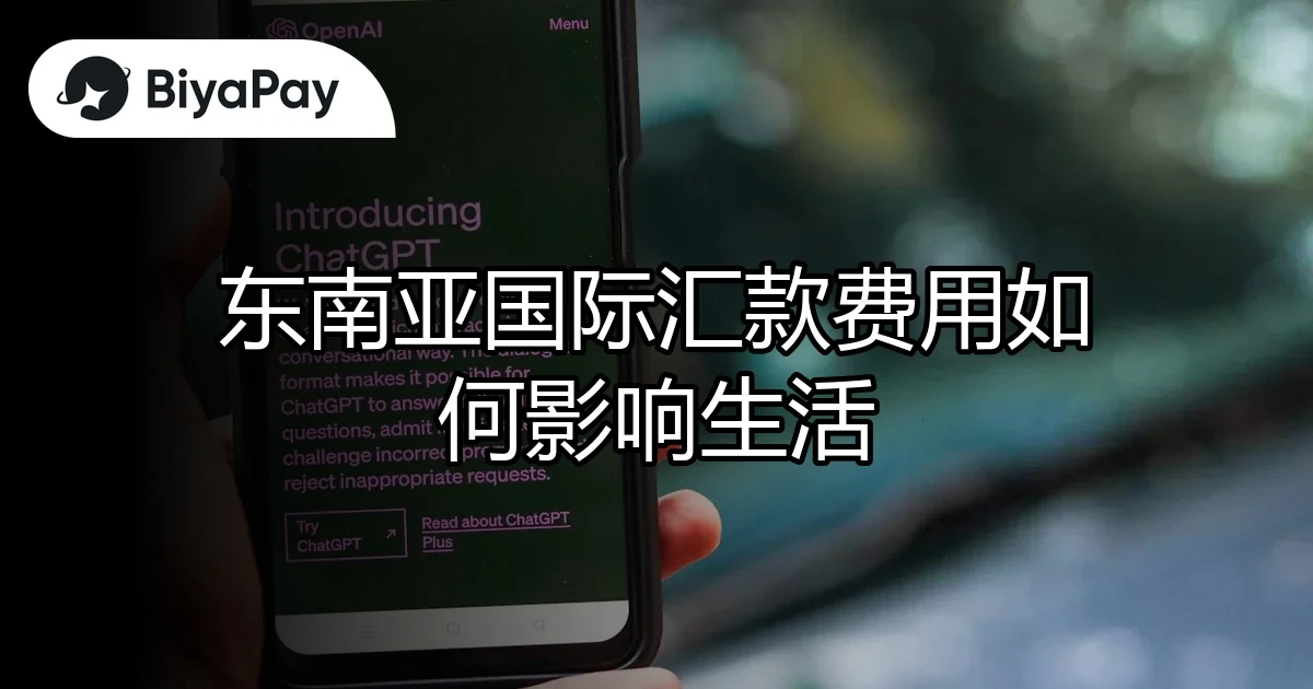 东南亚国际汇款影响