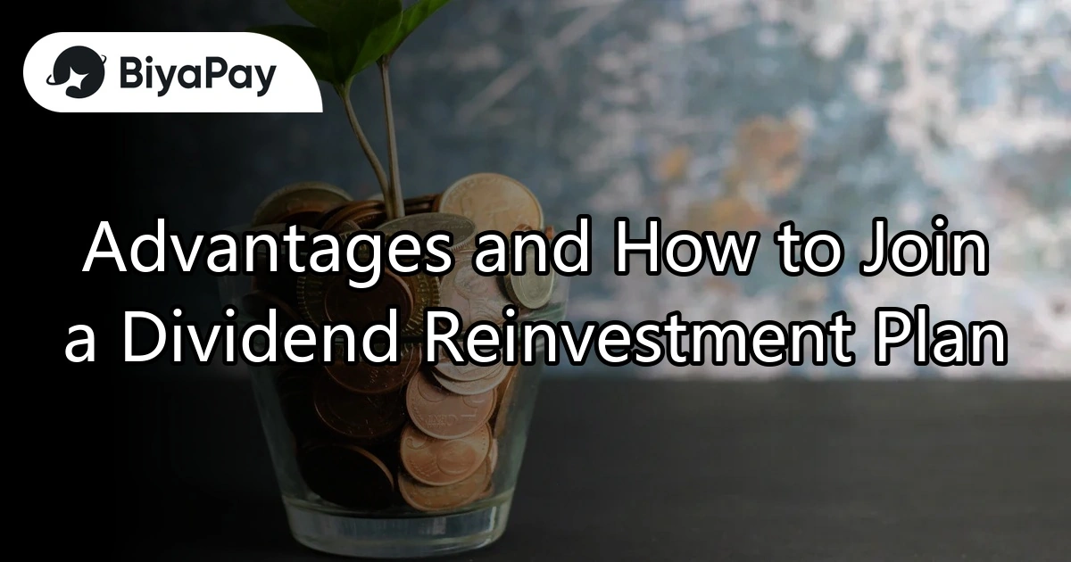 Dividend Reinvestment Plan