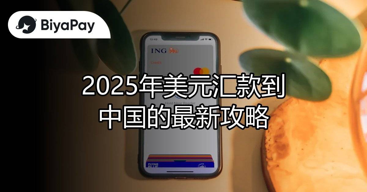 美元汇款中国攻略