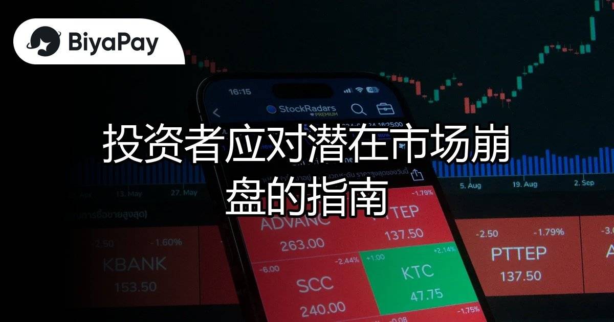 投资者股市崩盘指南