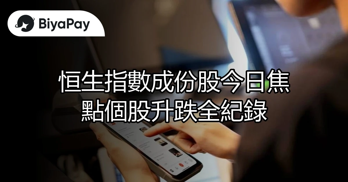 恒生指數成份股全紀錄