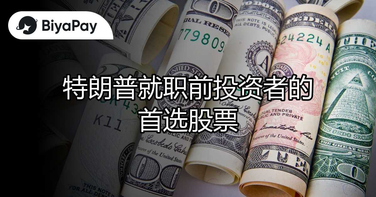 特朗普就职前首选股票