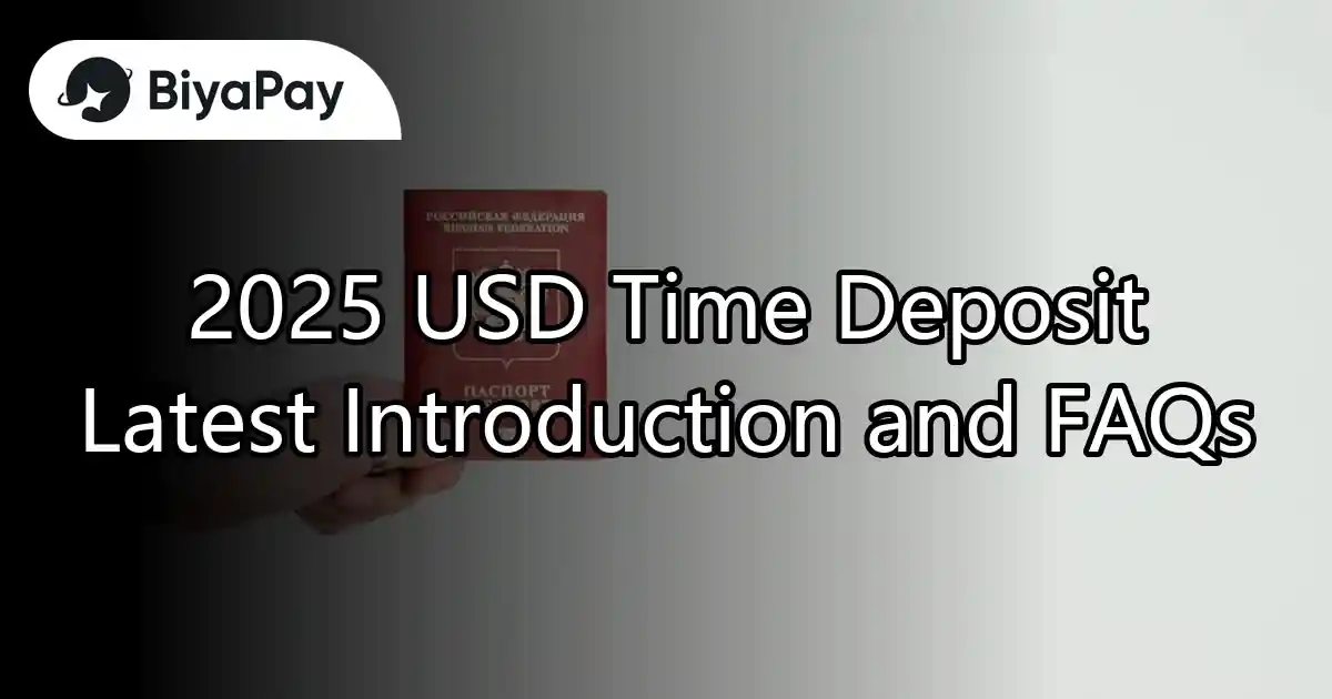 Introduction to US dollar time deposits in 2025