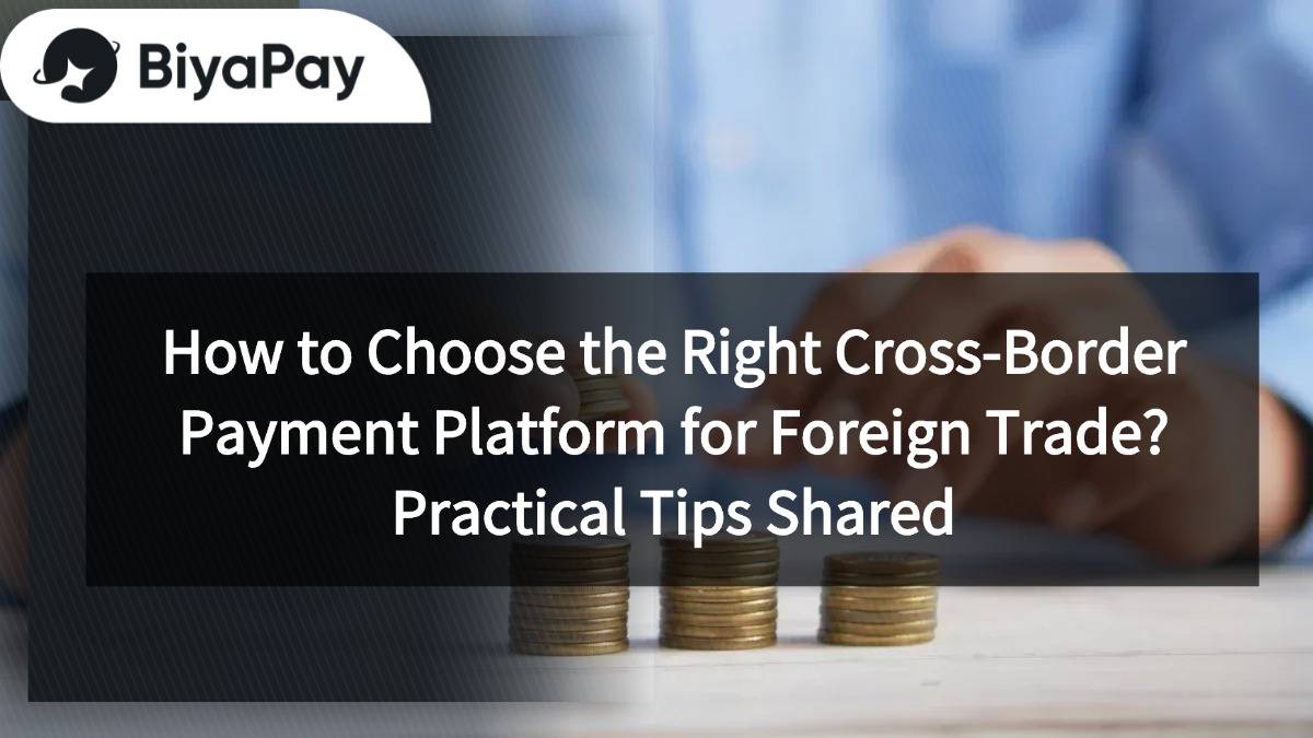 Foreign trade cross-border payment platform