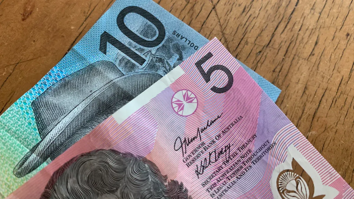 澳大利亚的申请人资金
