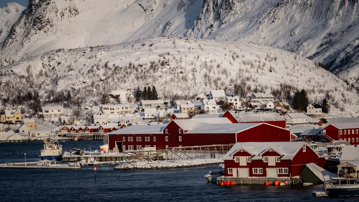 Is Living in Norway Right for You A Balanced Perspective