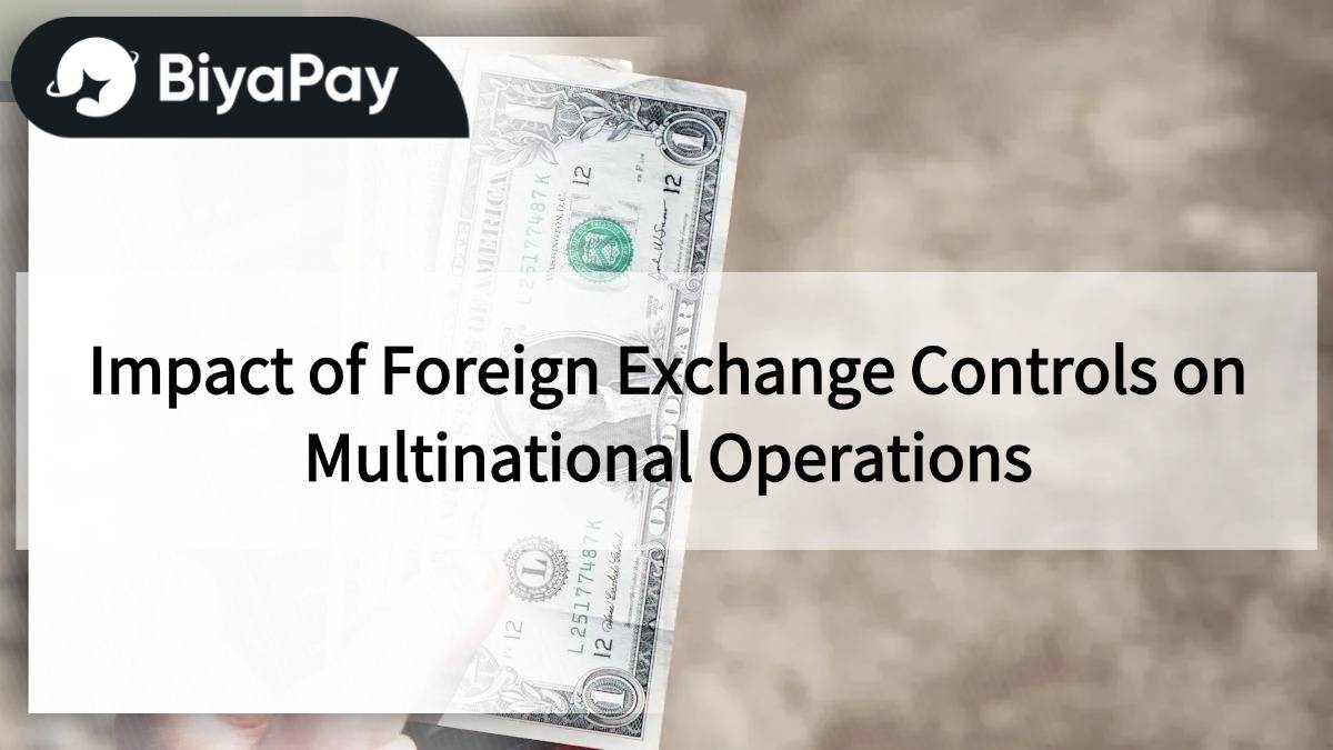 The impact of foreign exchange controls on cross-border operations