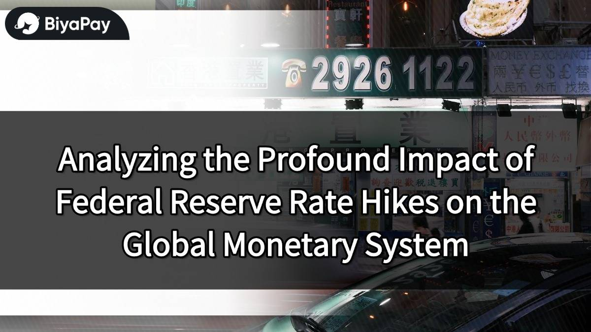 The impact of the Fed's interest rate hike on the monetary system