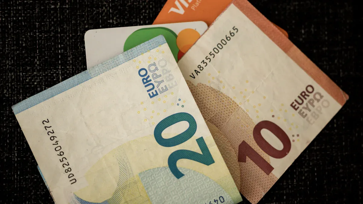 Where Can You Pay in Euro?