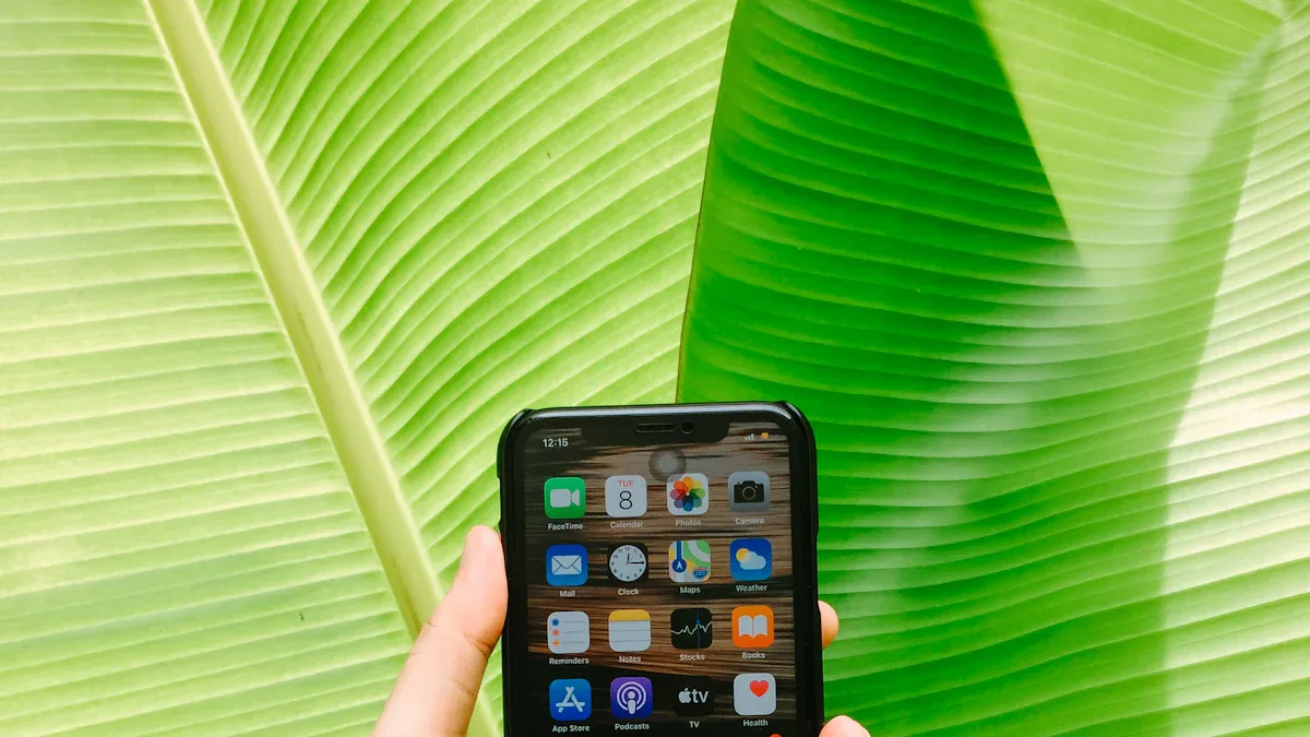 Calling Code Malaysia