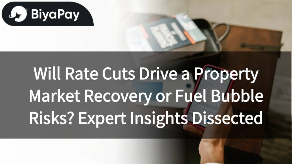Interest rate cuts and property market recovery bubble risk