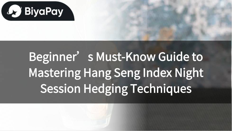 Hang Seng Index Night Market Hedging Techniques