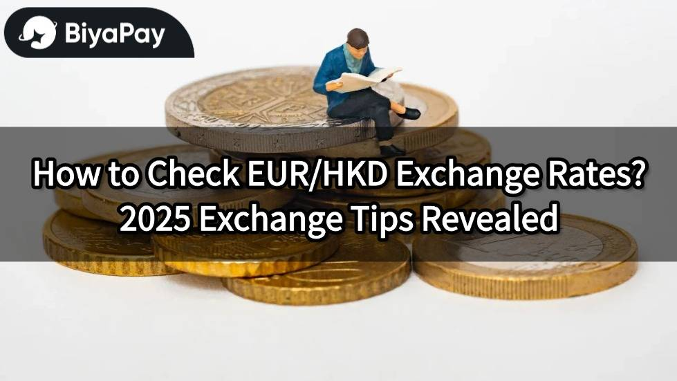 Check the Euro/HKD exchange rate