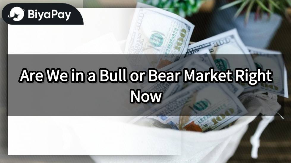 Is it a bull market or a bear market now?