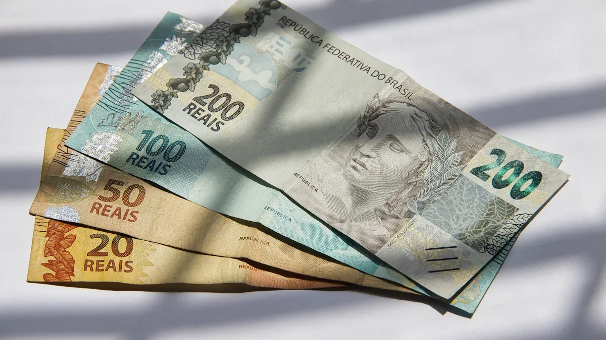 How to Send Money to Brazil: Documents, Rights & Costs