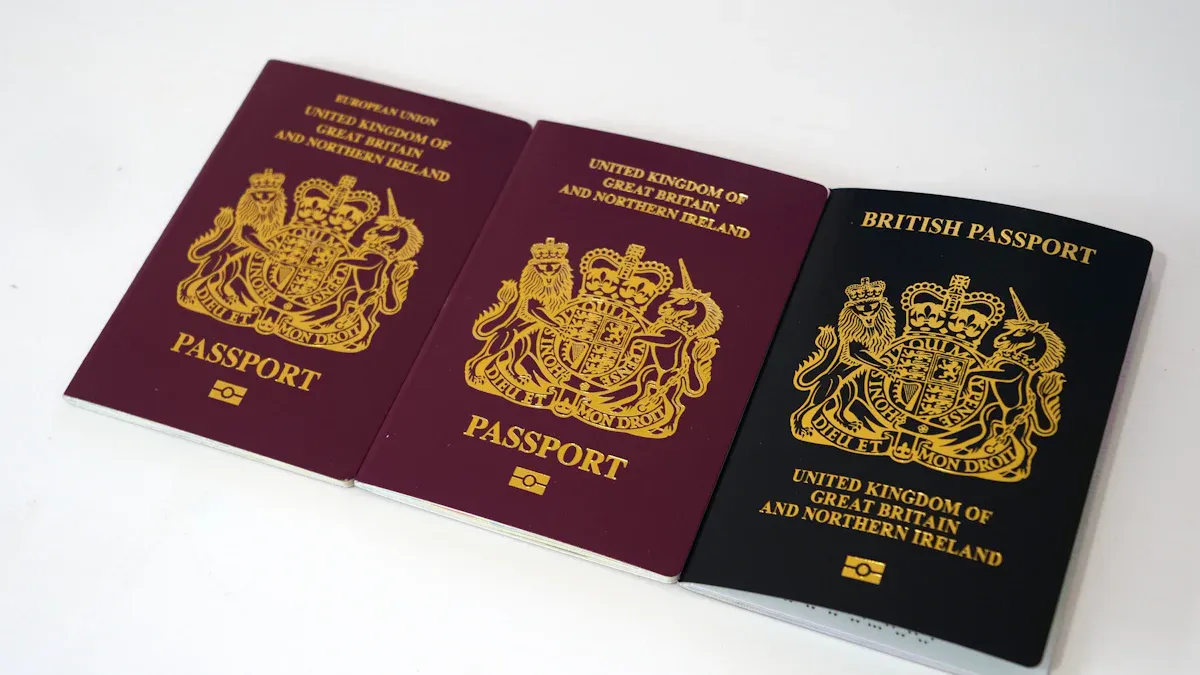 Types of UK Work Visas