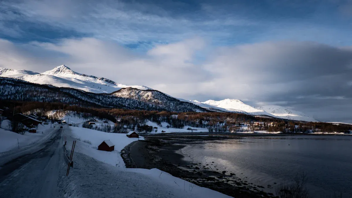 Weather and Environment