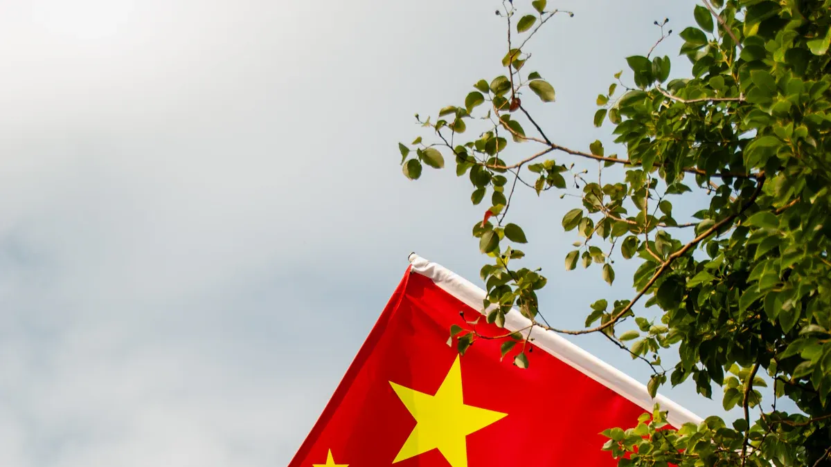 中国申报要求