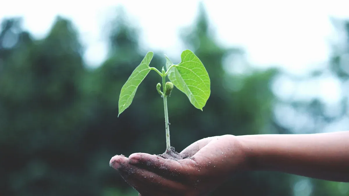 YMAX Stock Growth Potential