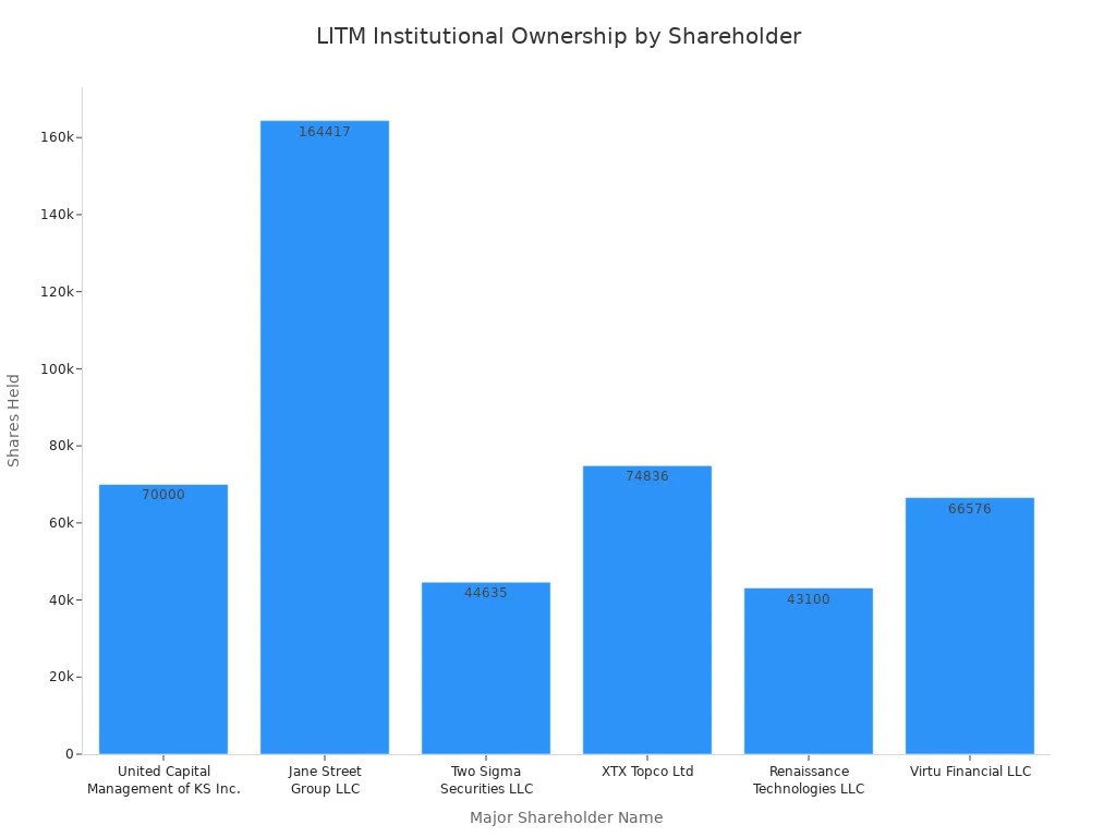 Bar chart showing shares held by major institutional shareholders of LITM stock