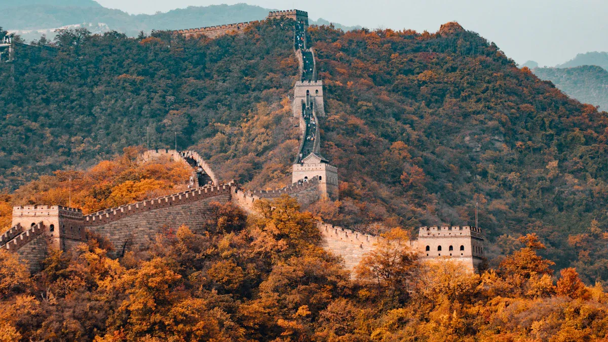 中国用户身份证秒开Wise账户,附详细操作步骤