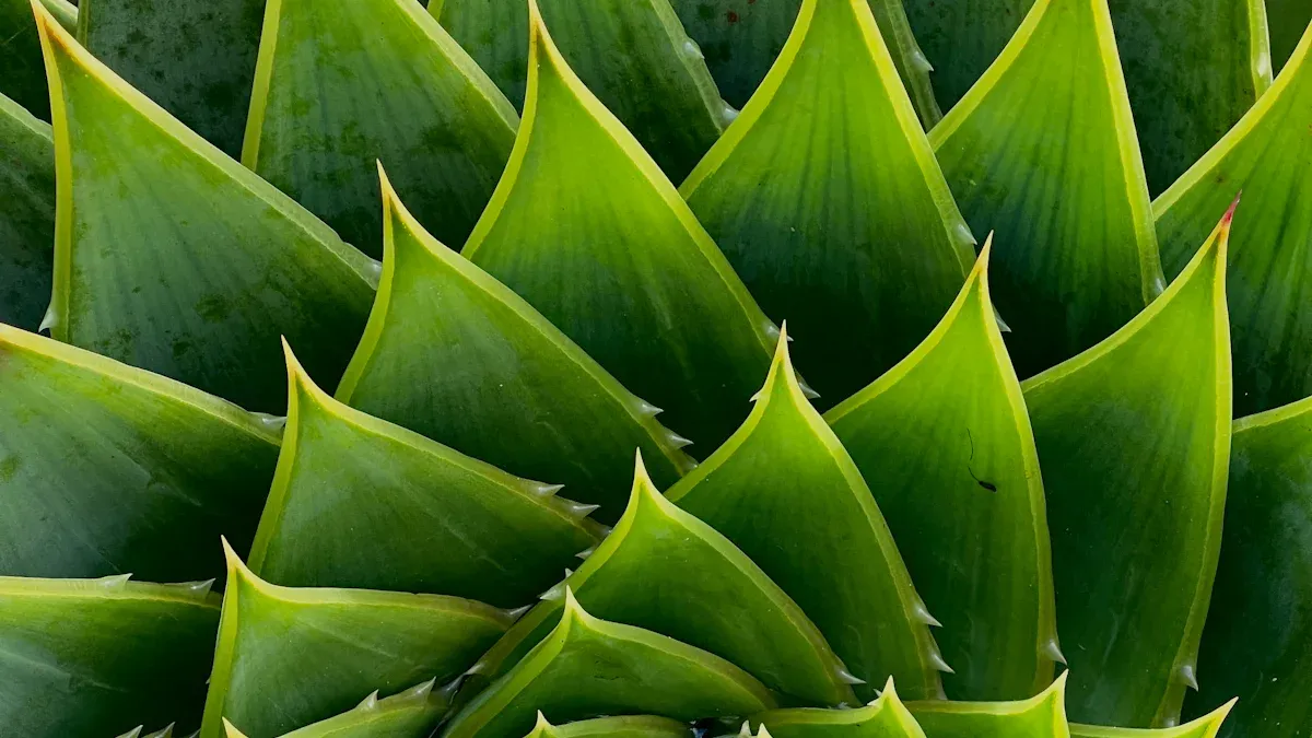 Advanced Trading with Fibonacci Retracement