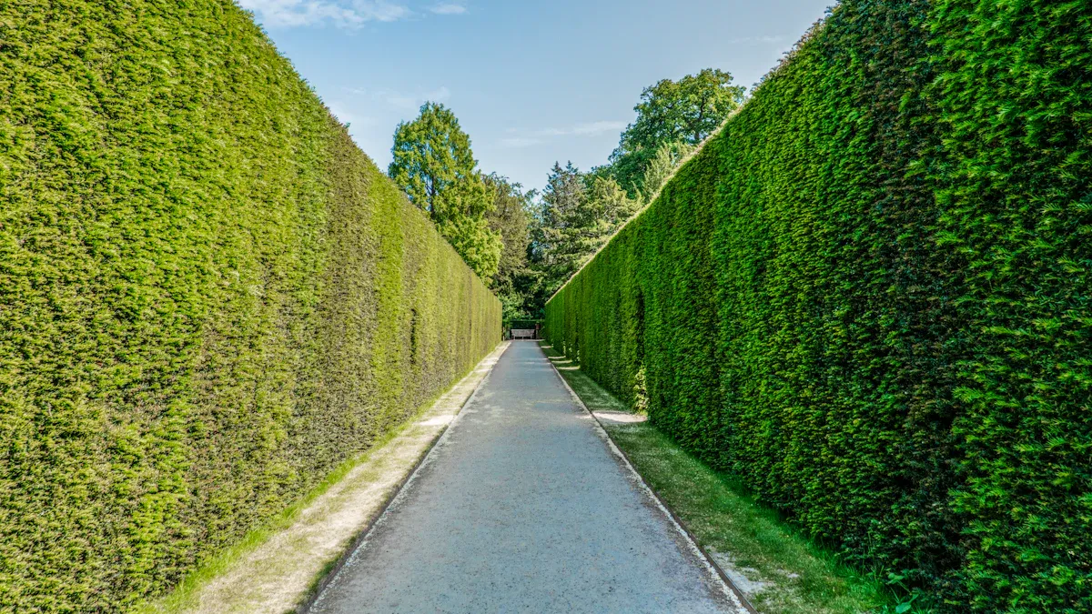 Synthetic Put Option Protection Mechanism