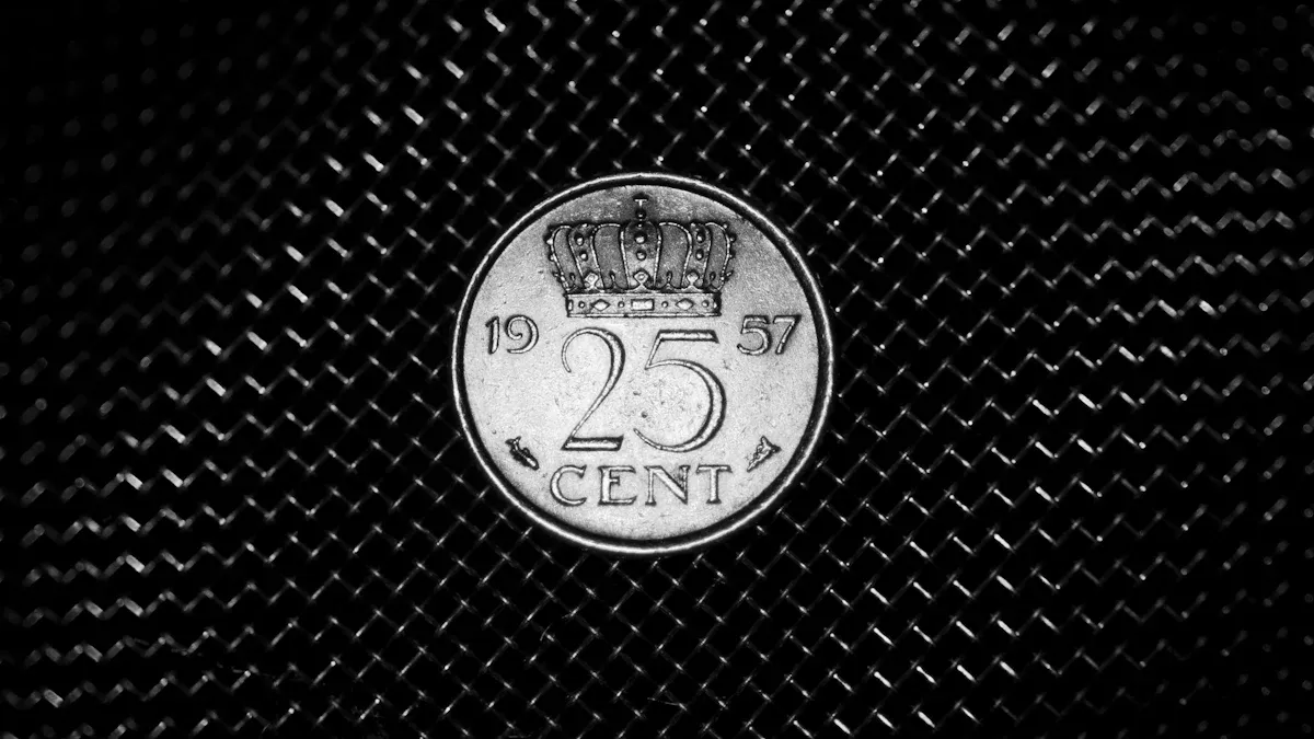 The Dutch Monetary System and the Euro