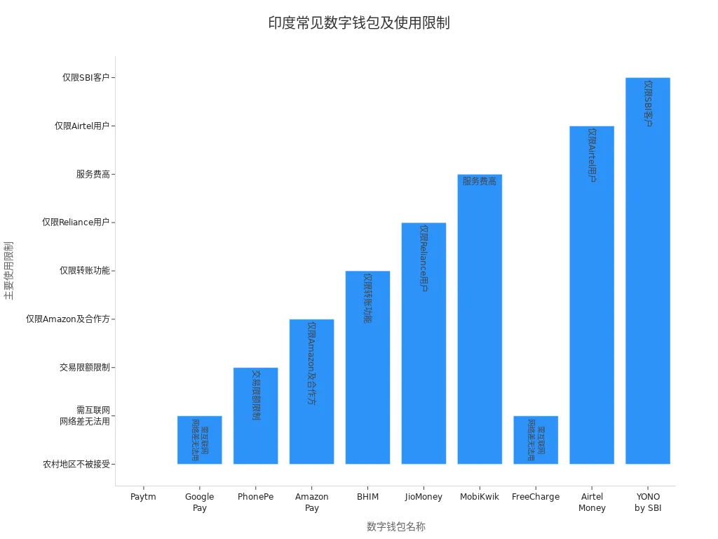 展示印度常见数字钱包及其主要使用限制的条形图