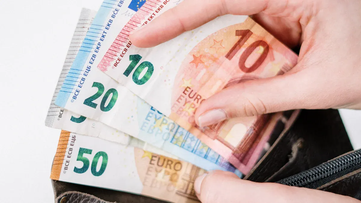 Daily Use of the Euro in Spain