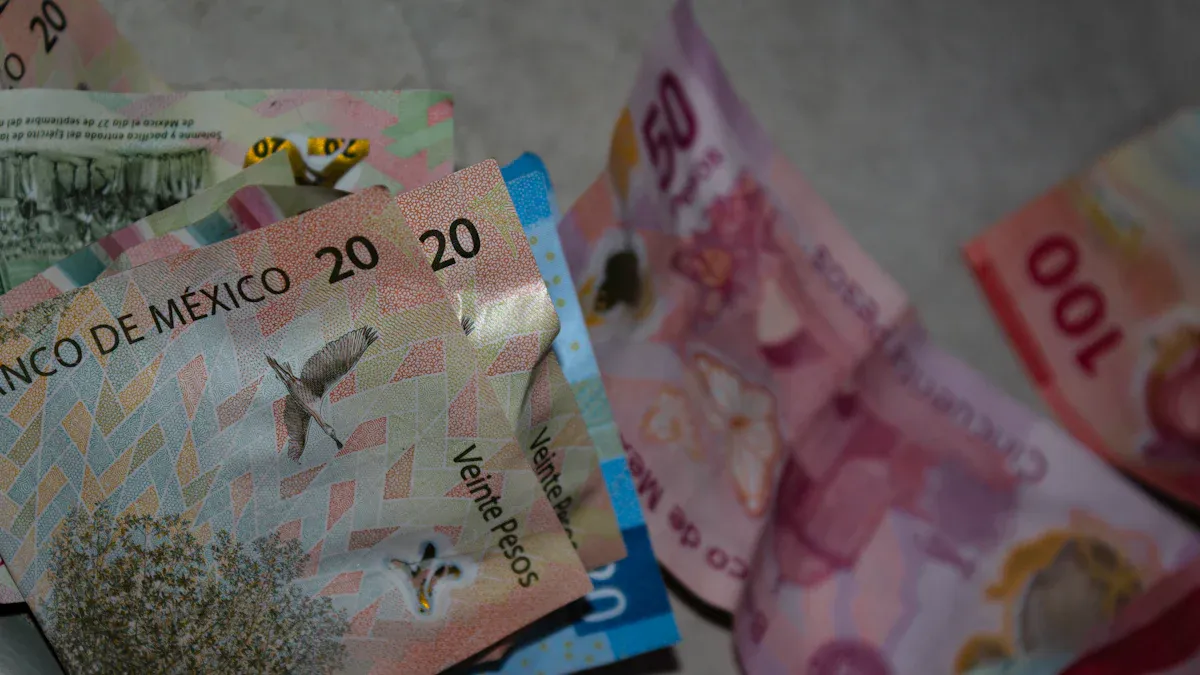 Comprehensive Cost Analysis: Fees and Exchange Rates