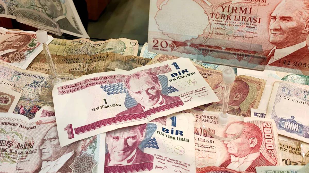 土耳其货币：土耳其里拉的全面介绍与兑换使用指南- BiyaPay 博客