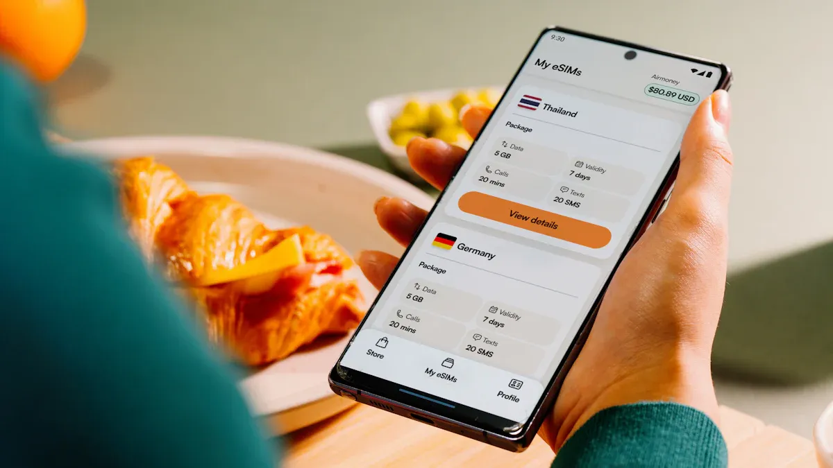 E-Wallets and Payment Networks: New Mobile Choices