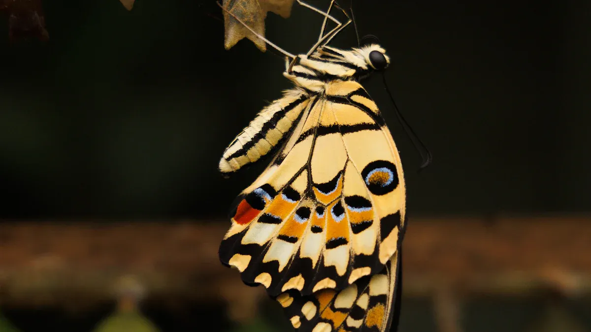 Pivotal Turning Point: Birth of Weibo and Transformation