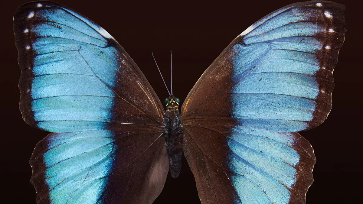 Far-Reaching Impact After Evolution