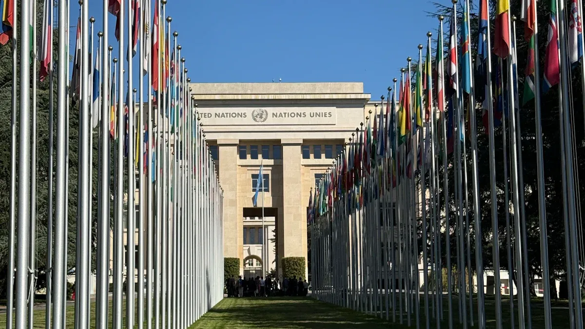 联合国（UN）：全球和平的基石