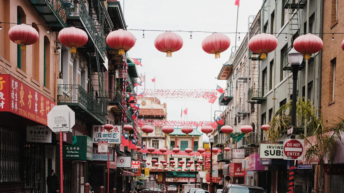 华人社区的启示与应对策略