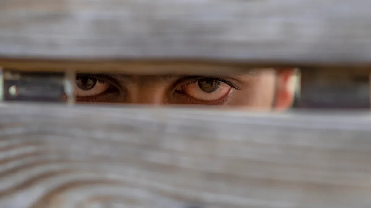 Wise的隐藏陷阱:风险与使用限制