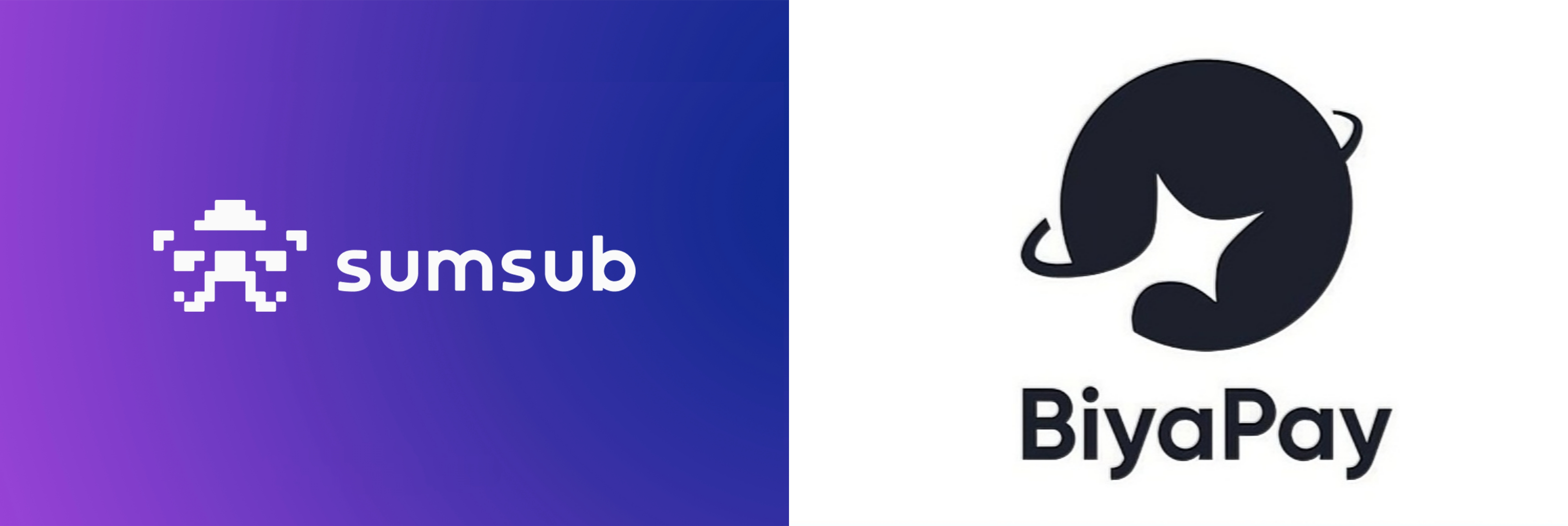 Sumsub: The Guardian Defining Global Digital Trust