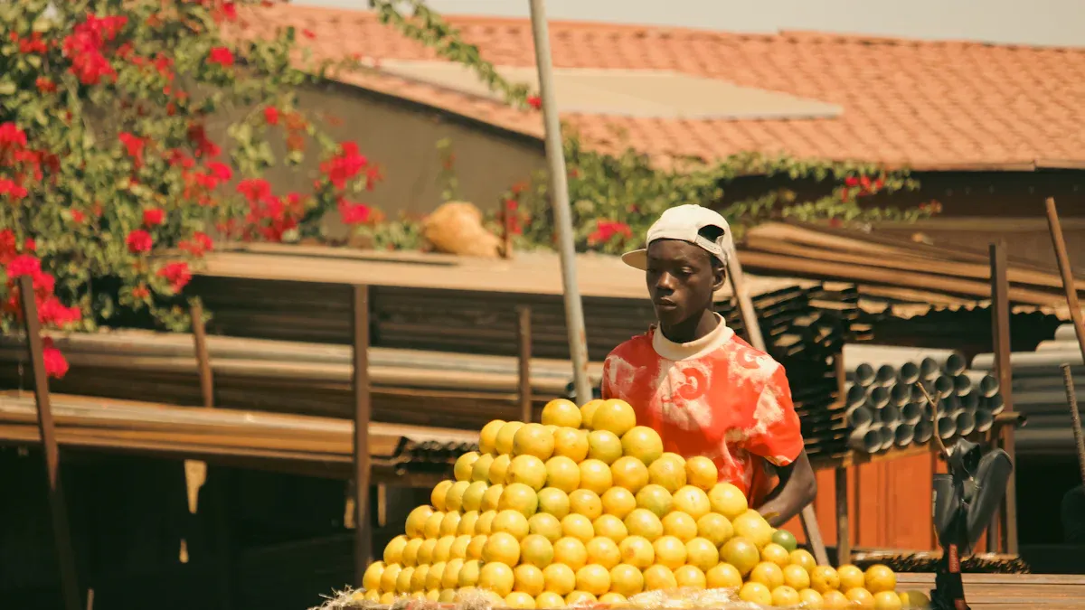 夏日经济与啤酒行业